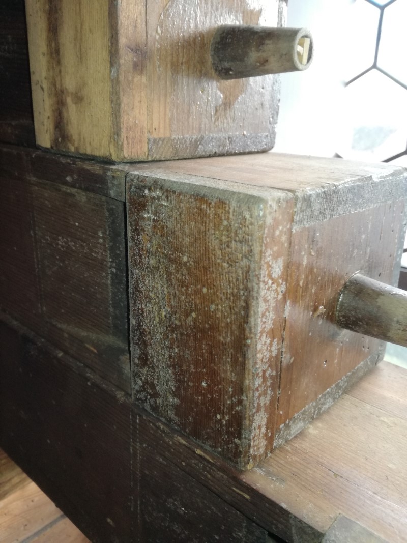 Schimmel in der Orgel